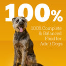 Pedigree Chopped Ground Dinner Cheese Variety Pack Adult Wet Dog Food, (18) 3.5 Oz Pouches