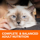 Iams Proactive Health Urinary Tract Health Chicken Dry Cat Food, 7 Lb Bag