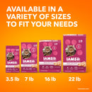 Iams Proactive Health Urinary Tract Health Chicken Dry Cat Food, 7 Lb Bag